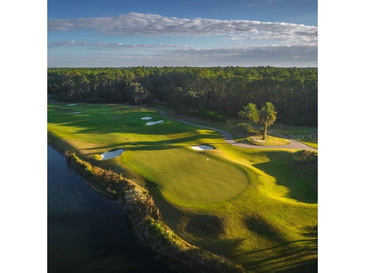 52 Hammock Beach Circle S Palm Coast FL 32137 FC315329 image85