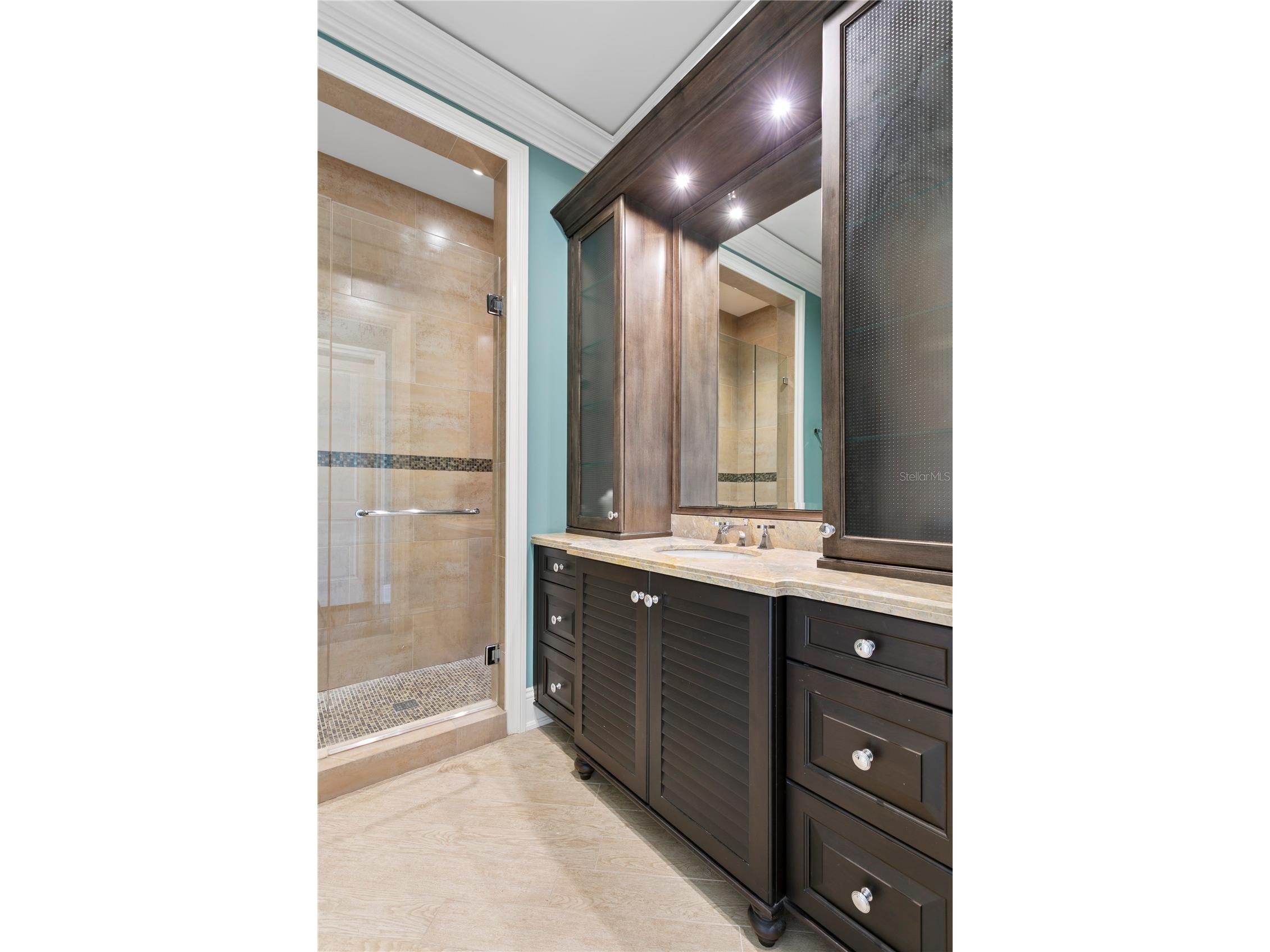 52 Ladoga Avenue Tampa FL 33606 - HILLSBOROUGH BAY TB8497912 image64