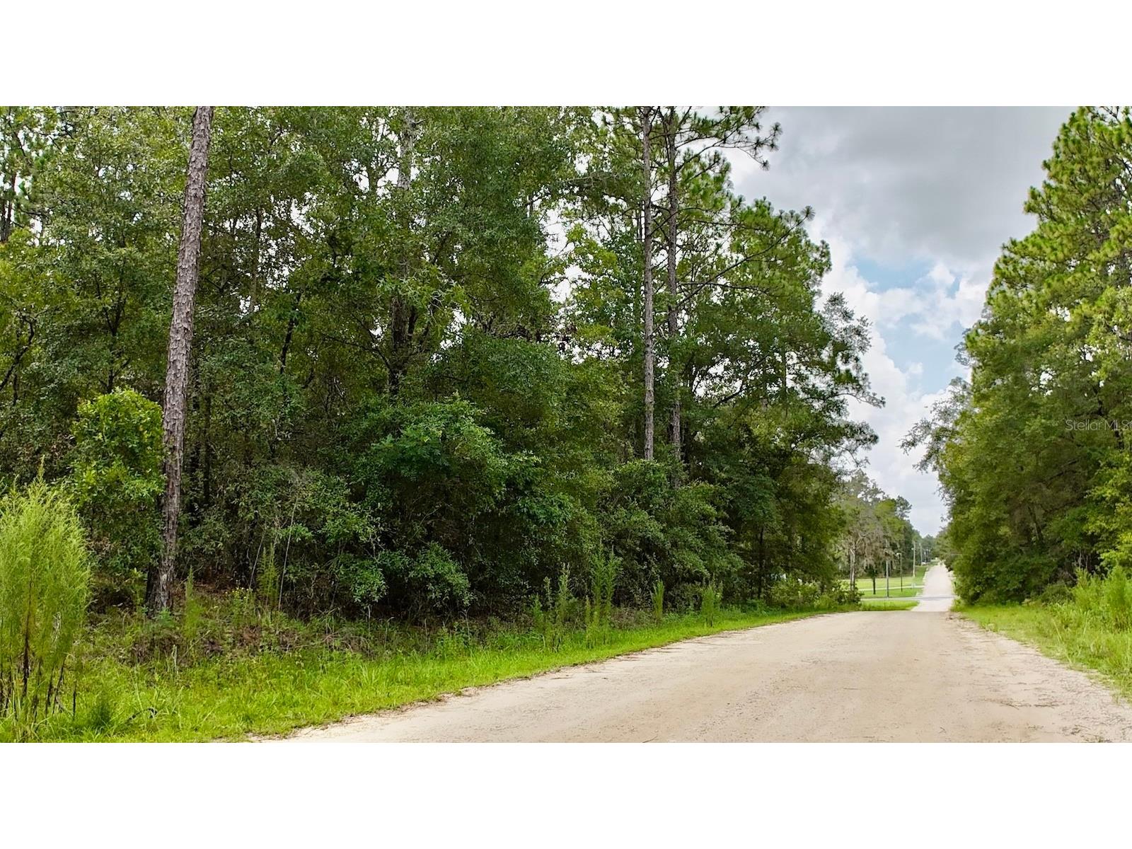 52 LANE ROAD SW & 126 Terrace Road SW #4 Ocala FL 34481 OM725752 image1