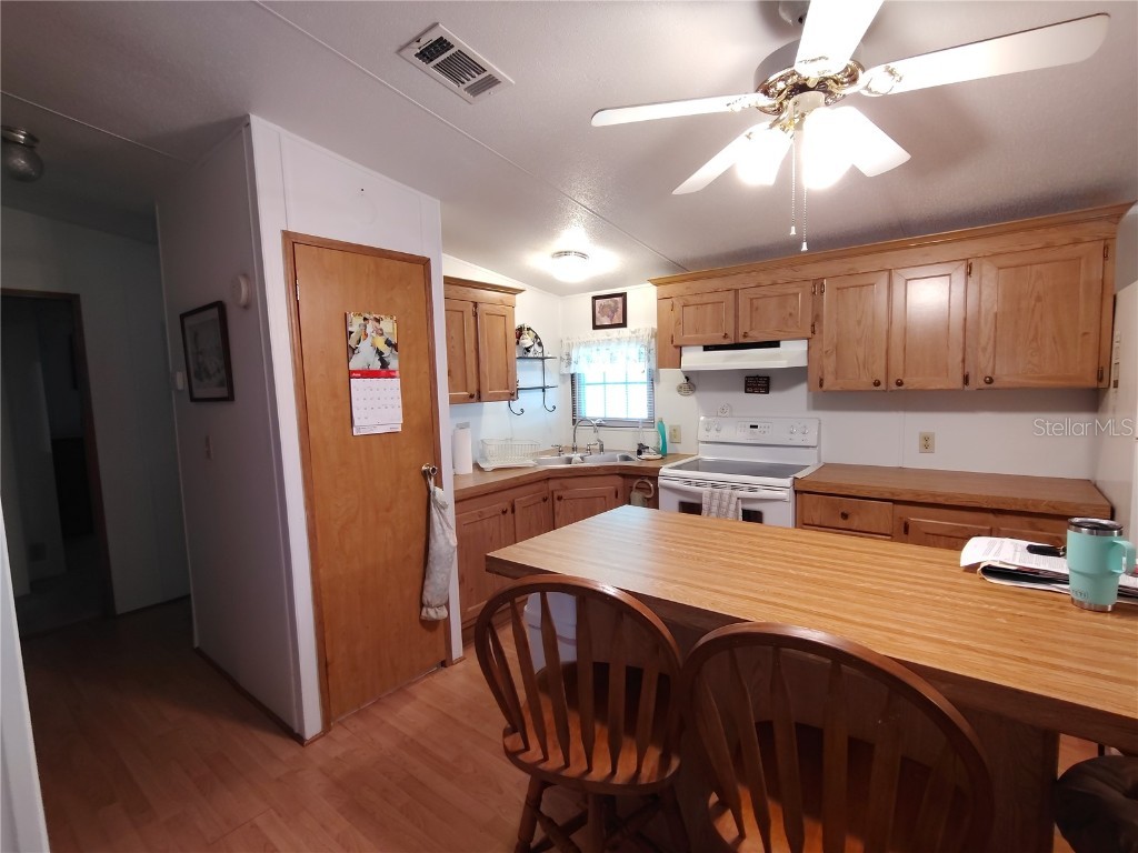 52 Outlet Drive Lake Panasoffkee FL 33538 - LAKE PANASOFFKEE OUTLET RIVER G5098752 image16