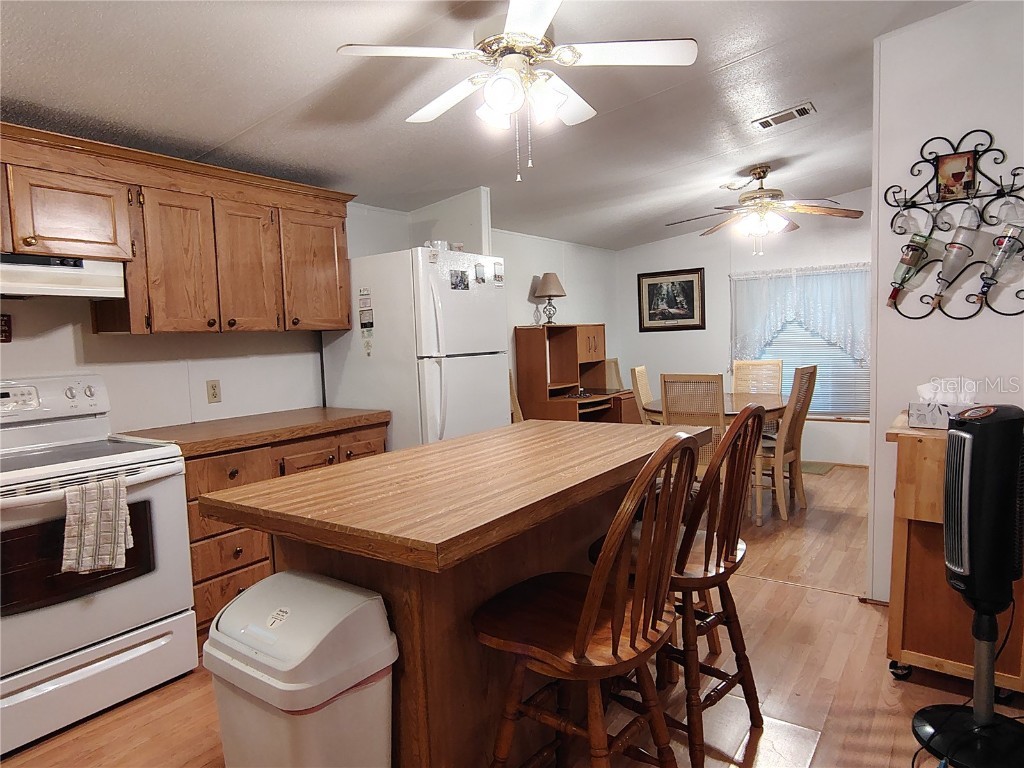 52 Outlet Drive Lake Panasoffkee FL 33538 - LAKE PANASOFFKEE OUTLET RIVER G5098752 image18