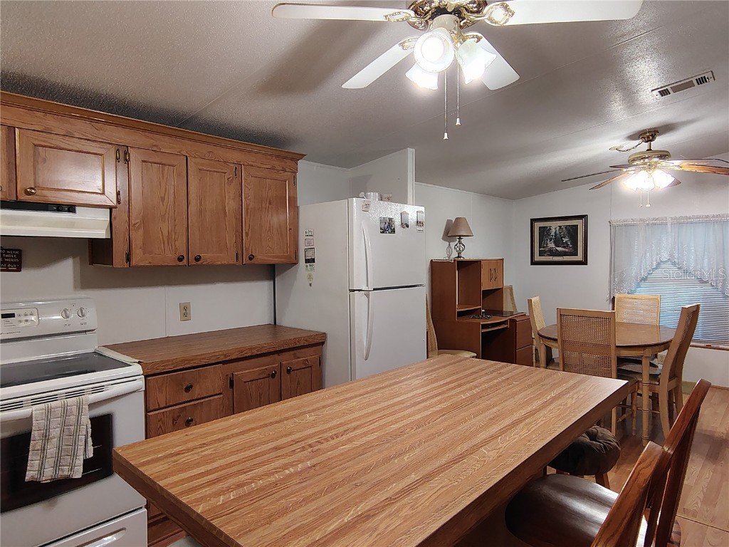 52 Outlet Drive Lake Panasoffkee FL 33538 - LAKE PANASOFFKEE OUTLET RIVER G5098752 image38