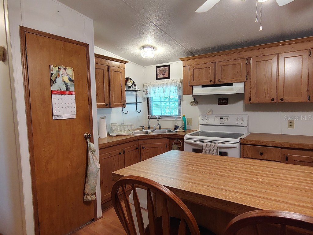 52 Outlet Drive Lake Panasoffkee FL 33538 - LAKE PANASOFFKEE OUTLET RIVER G5098752 image39