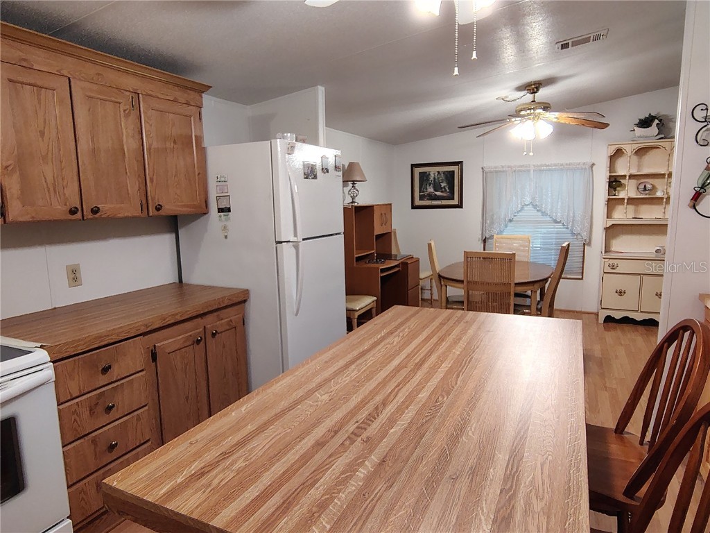 52 Outlet Drive Lake Panasoffkee FL 33538 - LAKE PANASOFFKEE OUTLET RIVER G5098752 image41