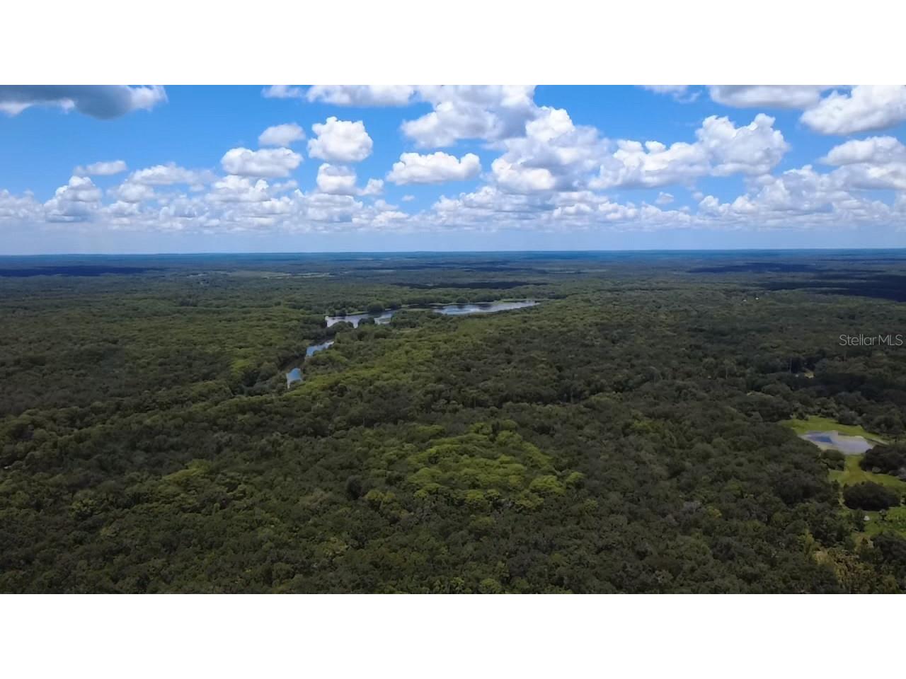 52 Outlet Drive Lake Panasoffkee FL 33538 - LAKE PANASOFFKEE OUTLET RIVER G5098752 image82