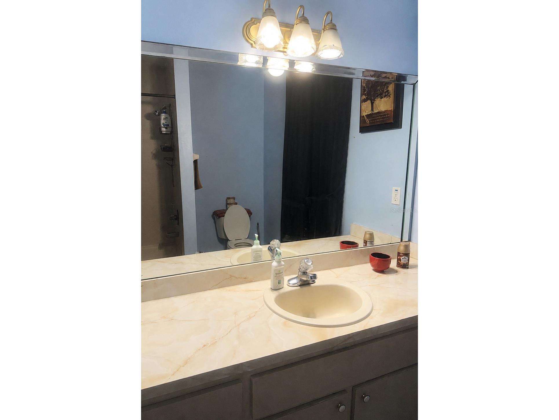 52 Redwood Trace Ocala FL 34472 A4696925 image13