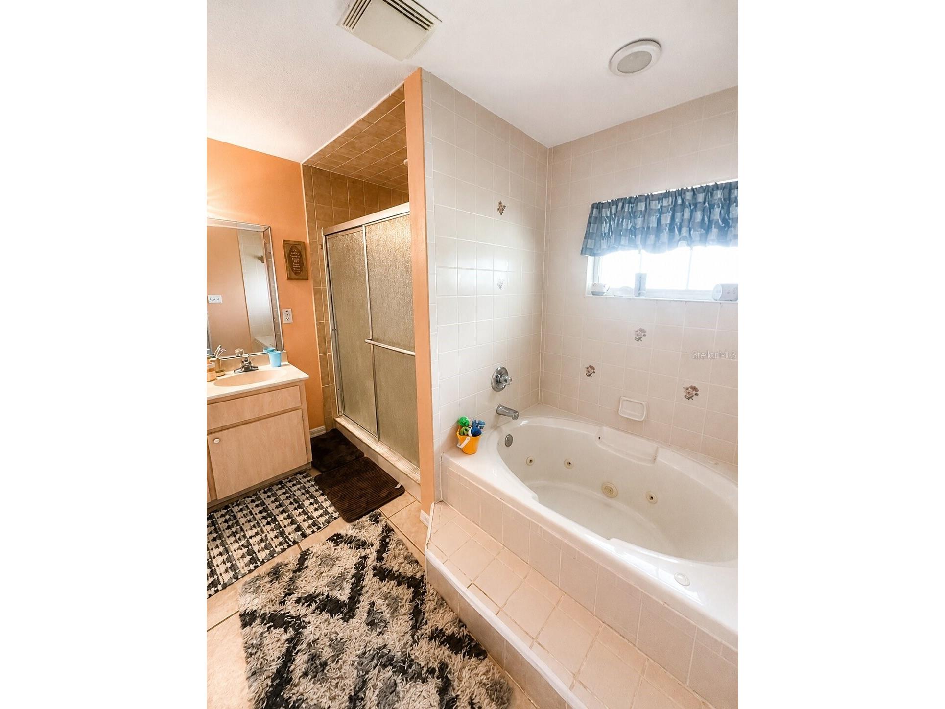 52 Redwood Trace Ocala FL 34472 A4696925 image9