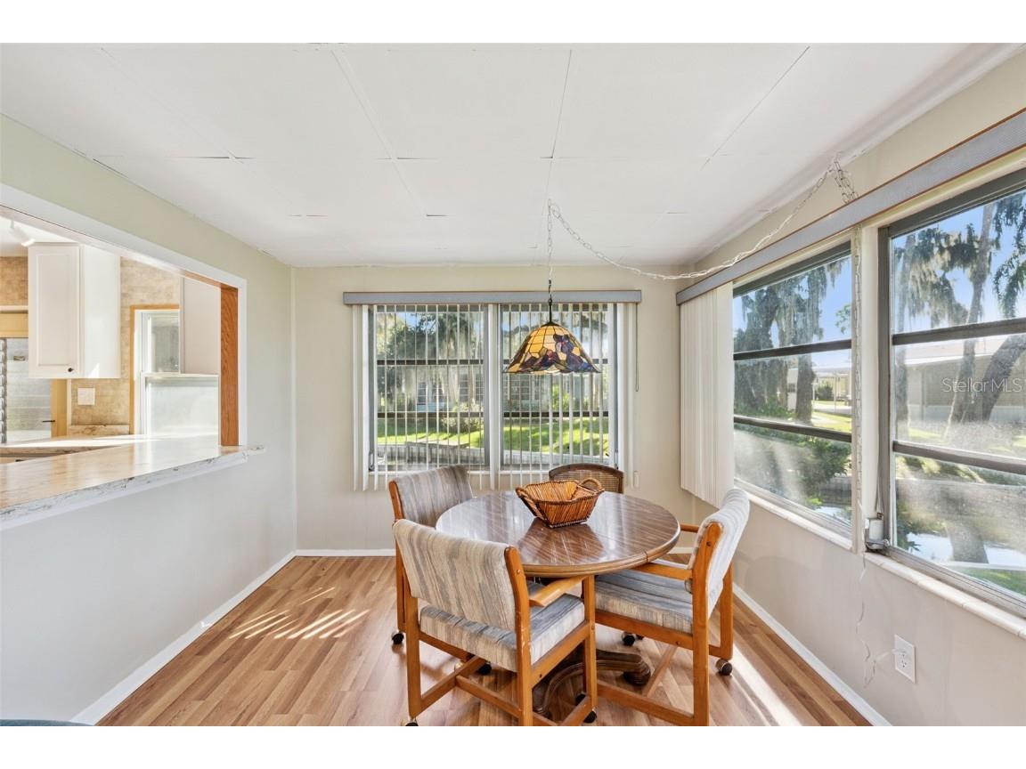 52 Sabal Palm Circle Eustis FL 32726 - Trout Lake O6341552 image11