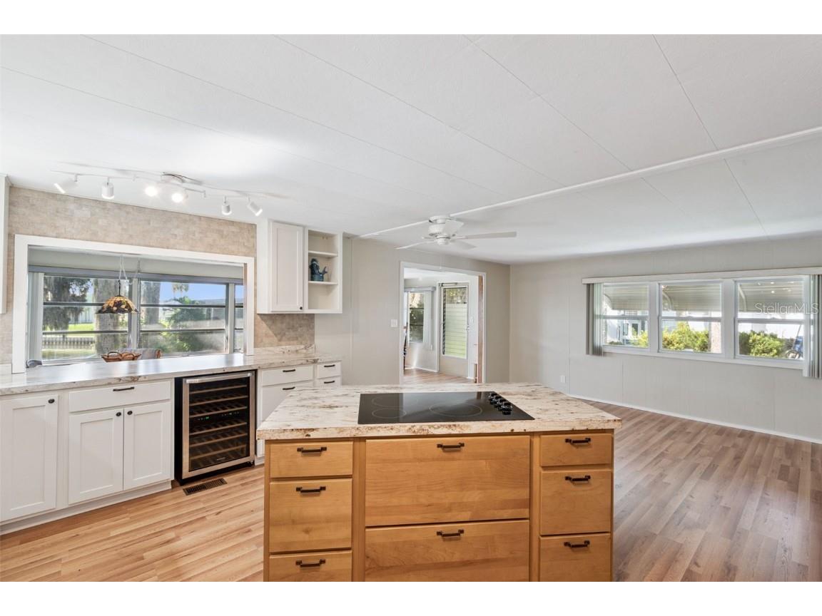 52 Sabal Palm Circle Eustis FL 32726 - Trout Lake O6341552 image21