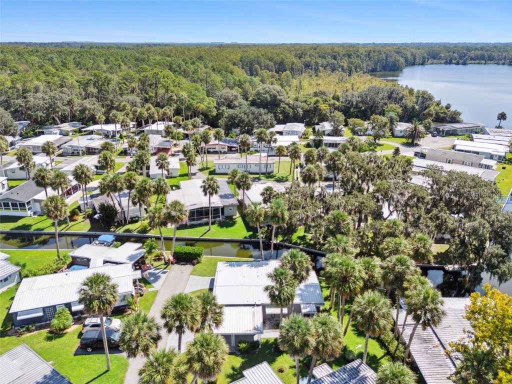 52 Sabal Palm Circle Eustis FL 32726 - Trout Lake O6341552 image44