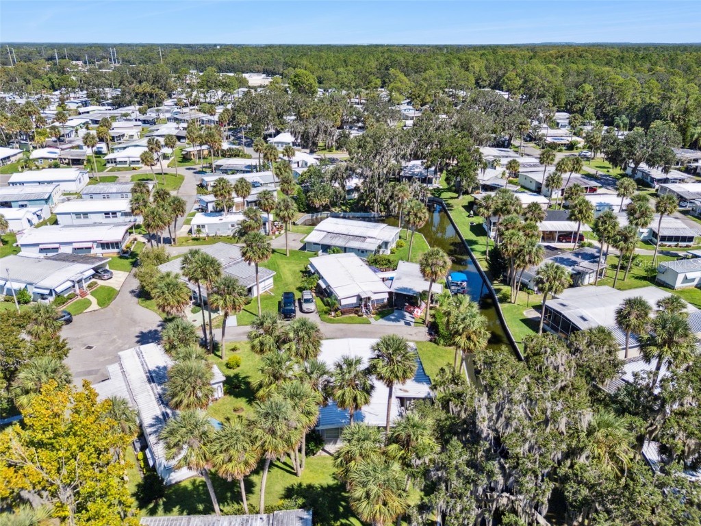 52 Sabal Palm Circle Eustis FL 32726 - Trout Lake O6341552 image47