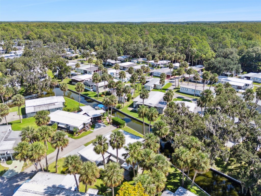 52 Sabal Palm Circle Eustis FL 32726 - Trout Lake O6341552 image48