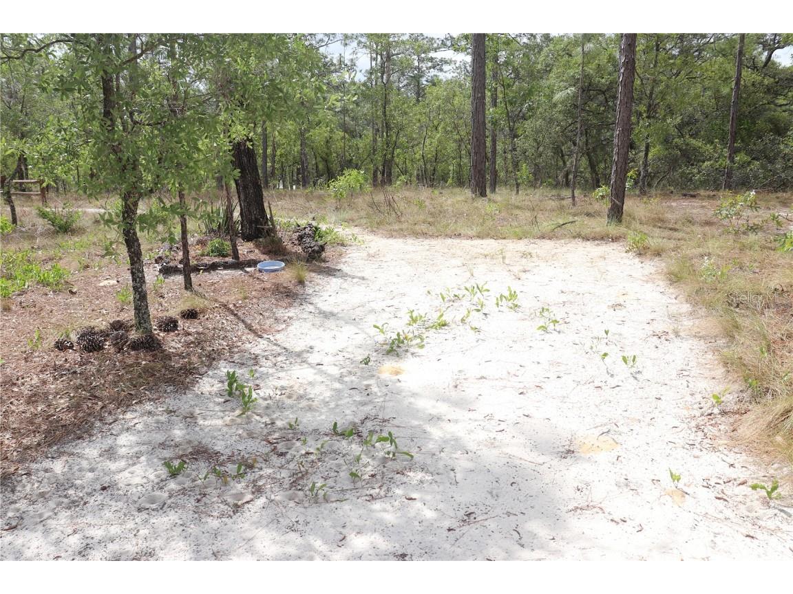 52 SW Commodore Road Dunnellon FL 34431 OM700098 image1