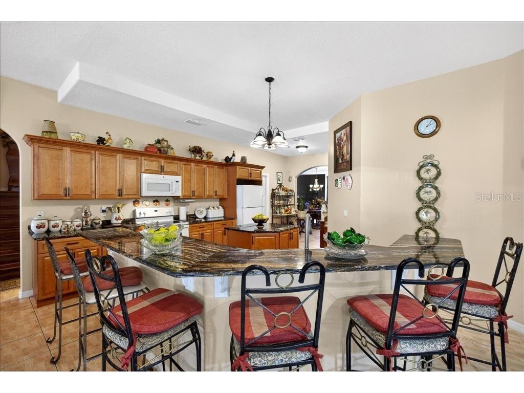 52 Upshire Path Palm Coast FL 32164 FC317349 image22