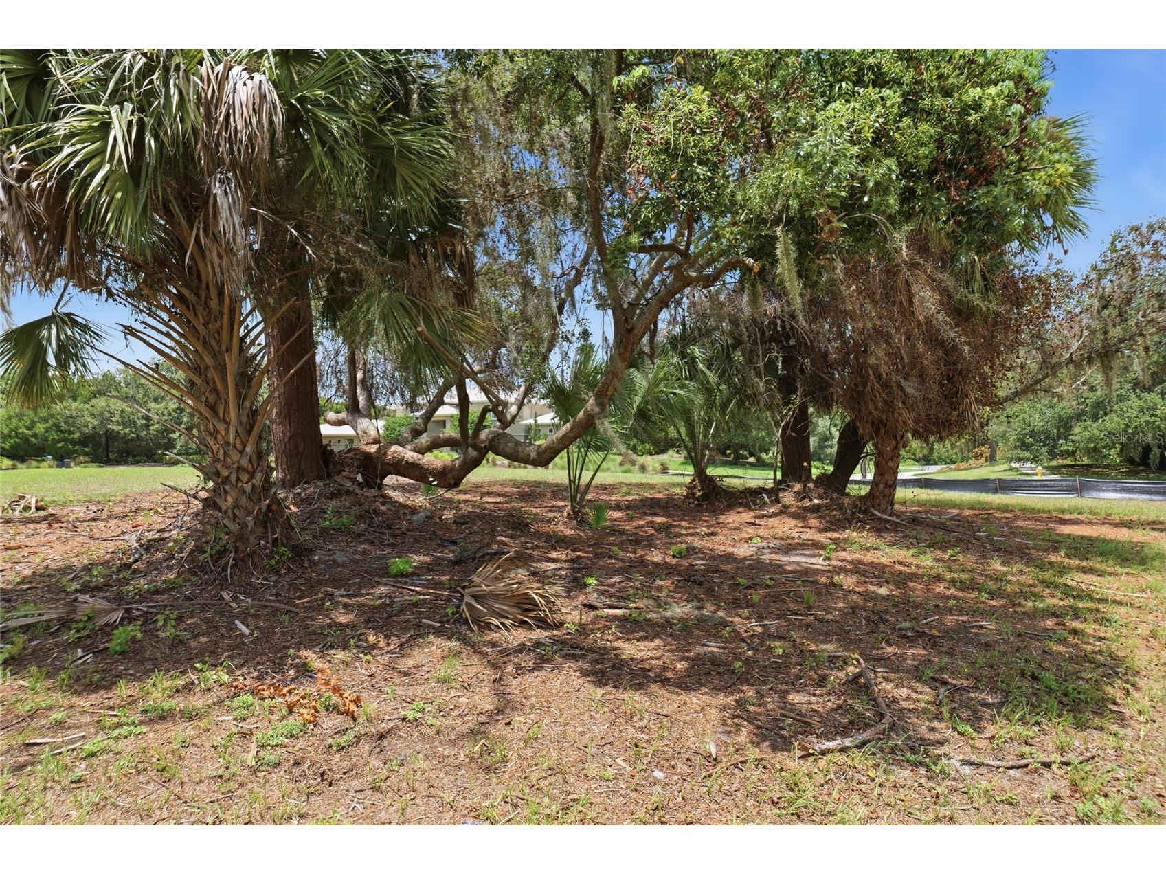 520 Austin Drive Tarpon Springs FL 34688 TB8531998 image11