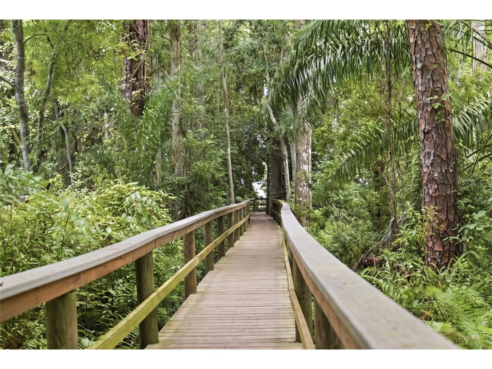 520 Austin Drive Tarpon Springs FL 34688 TB8531998 image30