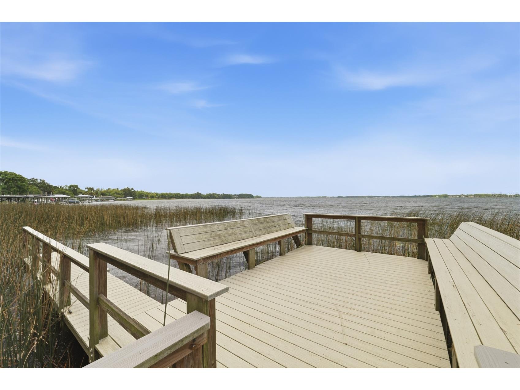 520 Austin Drive Tarpon Springs FL 34688 TB8531998 image31
