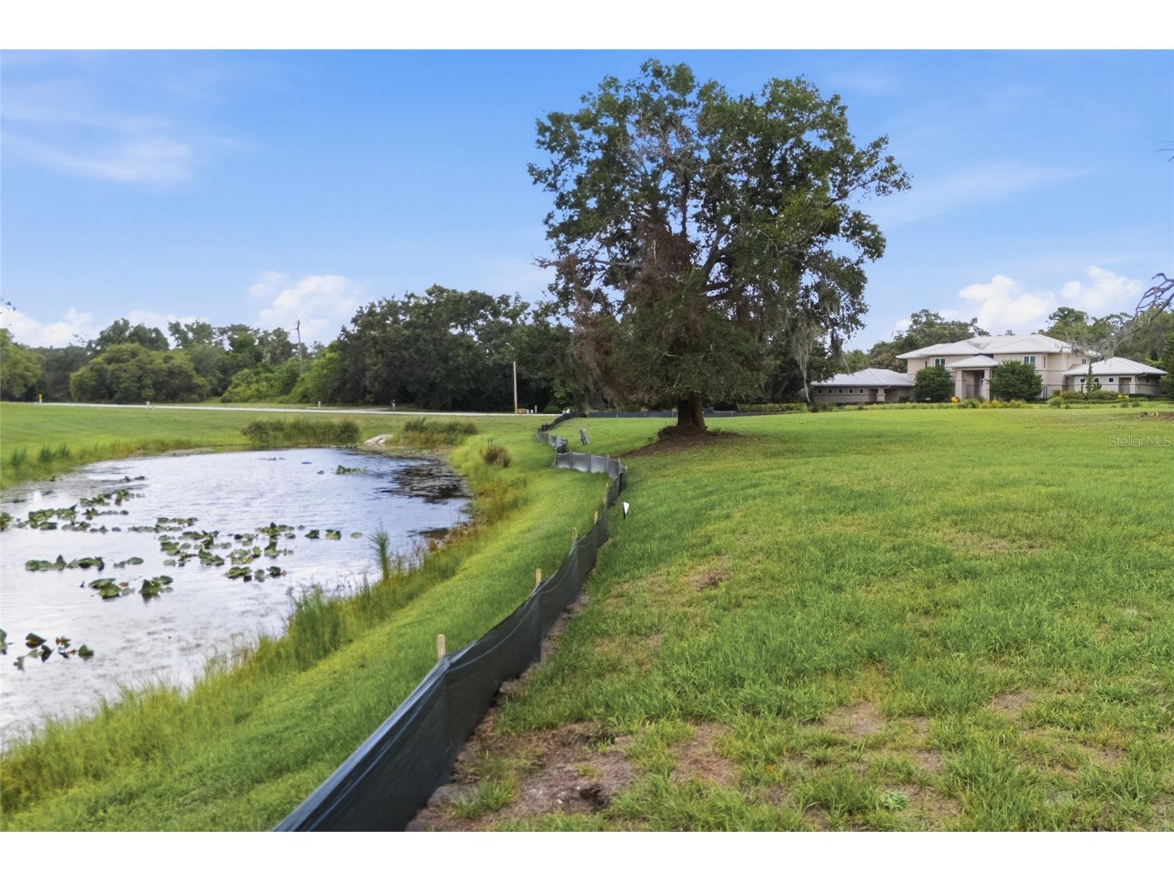 520 Austin Drive Tarpon Springs FL 34688 TB8531998 image7