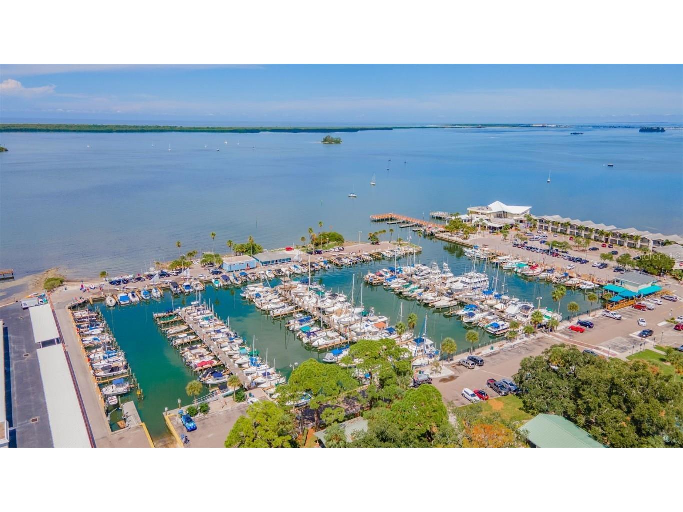 520 Baywood Drive S Dunedin FL 34698 TB8451649 image26