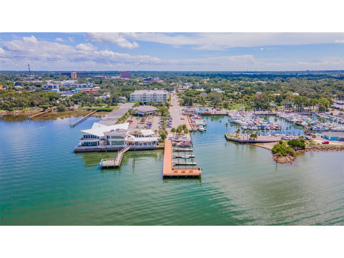 520 Baywood Drive S Dunedin FL 34698 TB8451649 image27