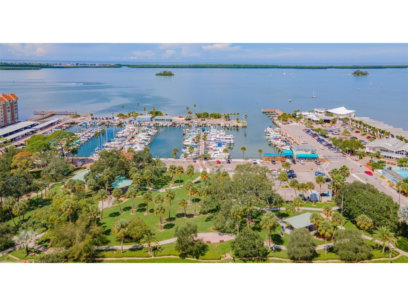 520 Baywood Drive S Dunedin FL 34698 TB8451649 image28