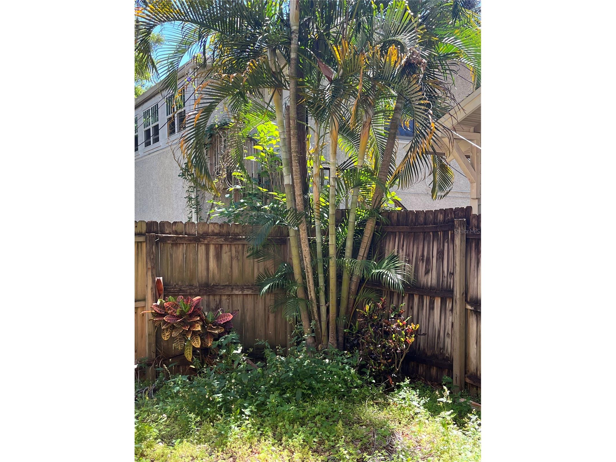 520 E Amelia Street Orlando FL 32803 O6404806 image13