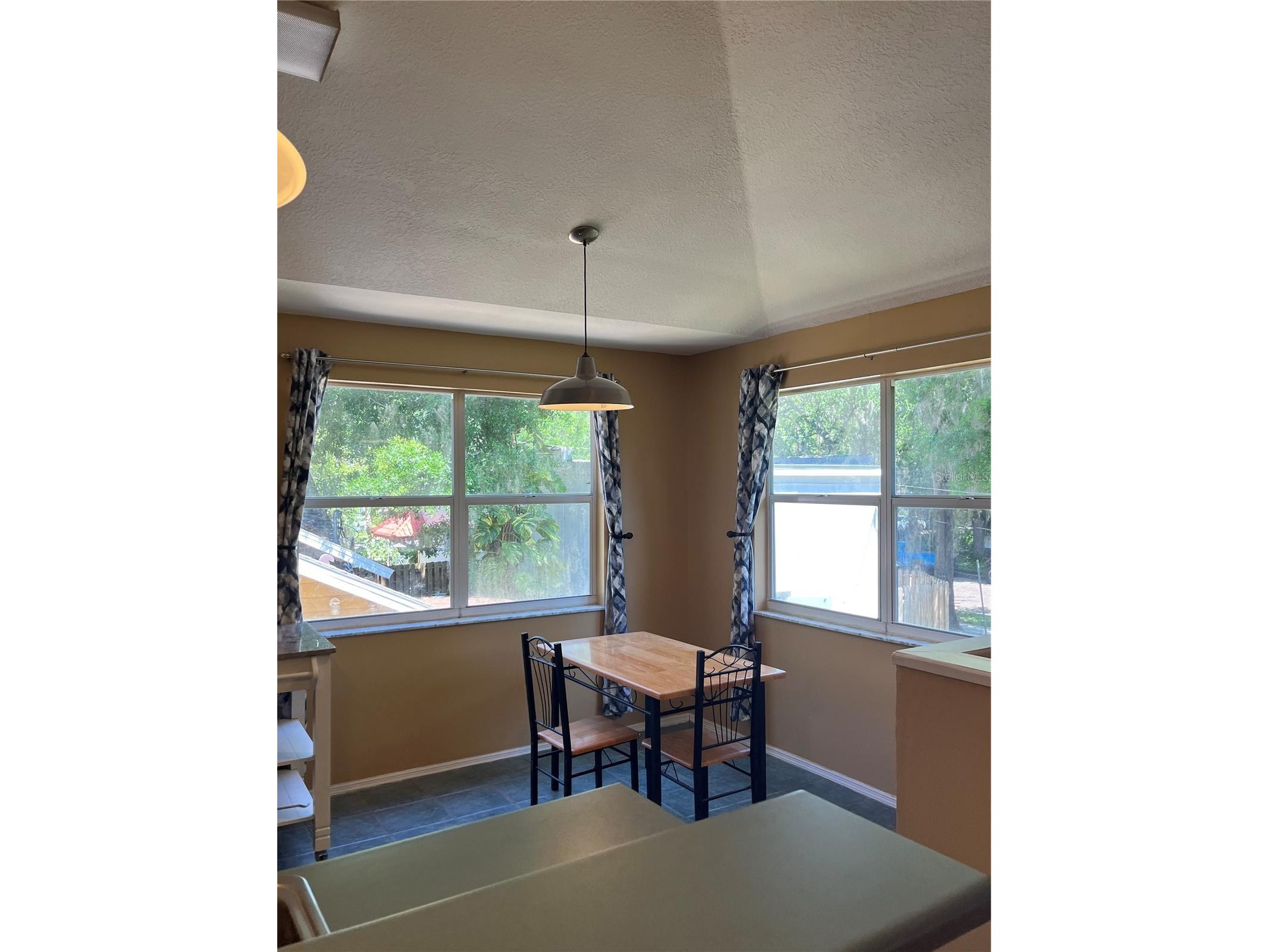 520 E Amelia Street Orlando FL 32803 O6404806 image6