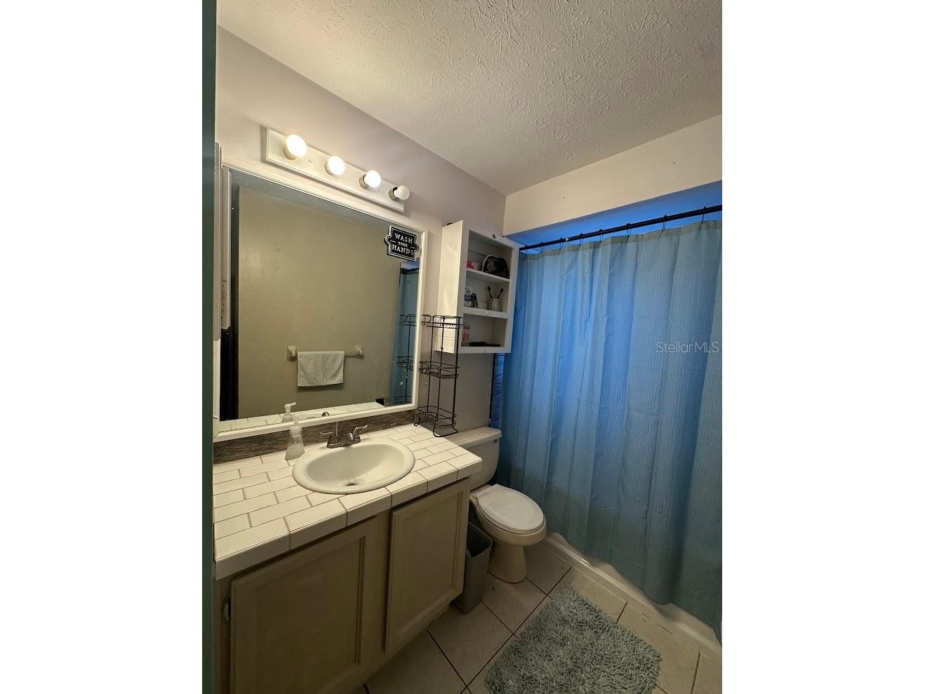 520 Fairhope Drive Apollo Beach FL 33572 L4958913 image11