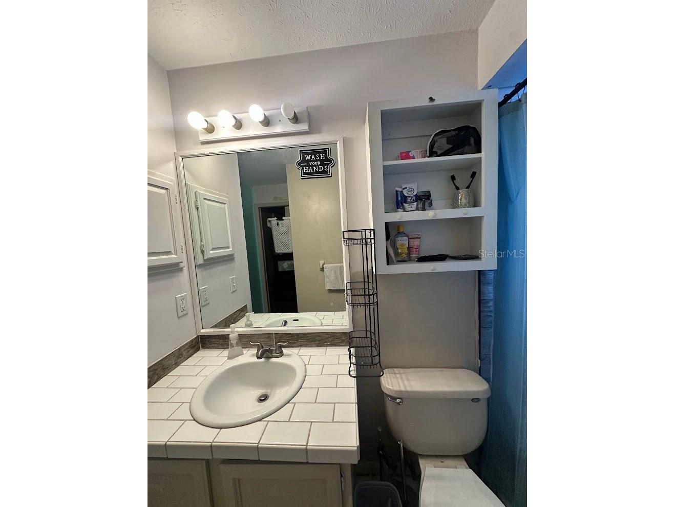 520 Fairhope Drive Apollo Beach FL 33572 L4958913 image12