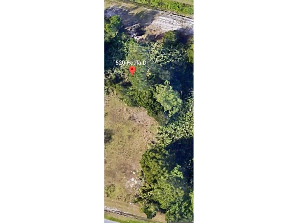 520 Koala Drive Kissimmee FL 34759 S5134227 image2