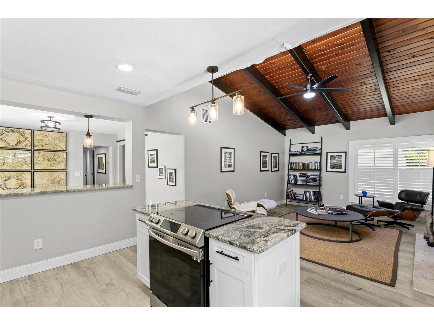 520 Lake Maggiore Boulevard S Saint Petersburg FL 33705 TB8512912 image7