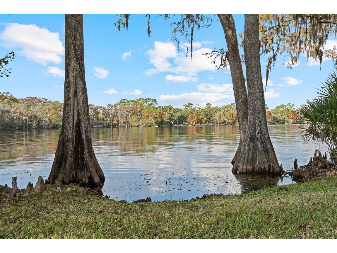 520 Lake Mills Road Chuluota FL 32766 O6363535 image49