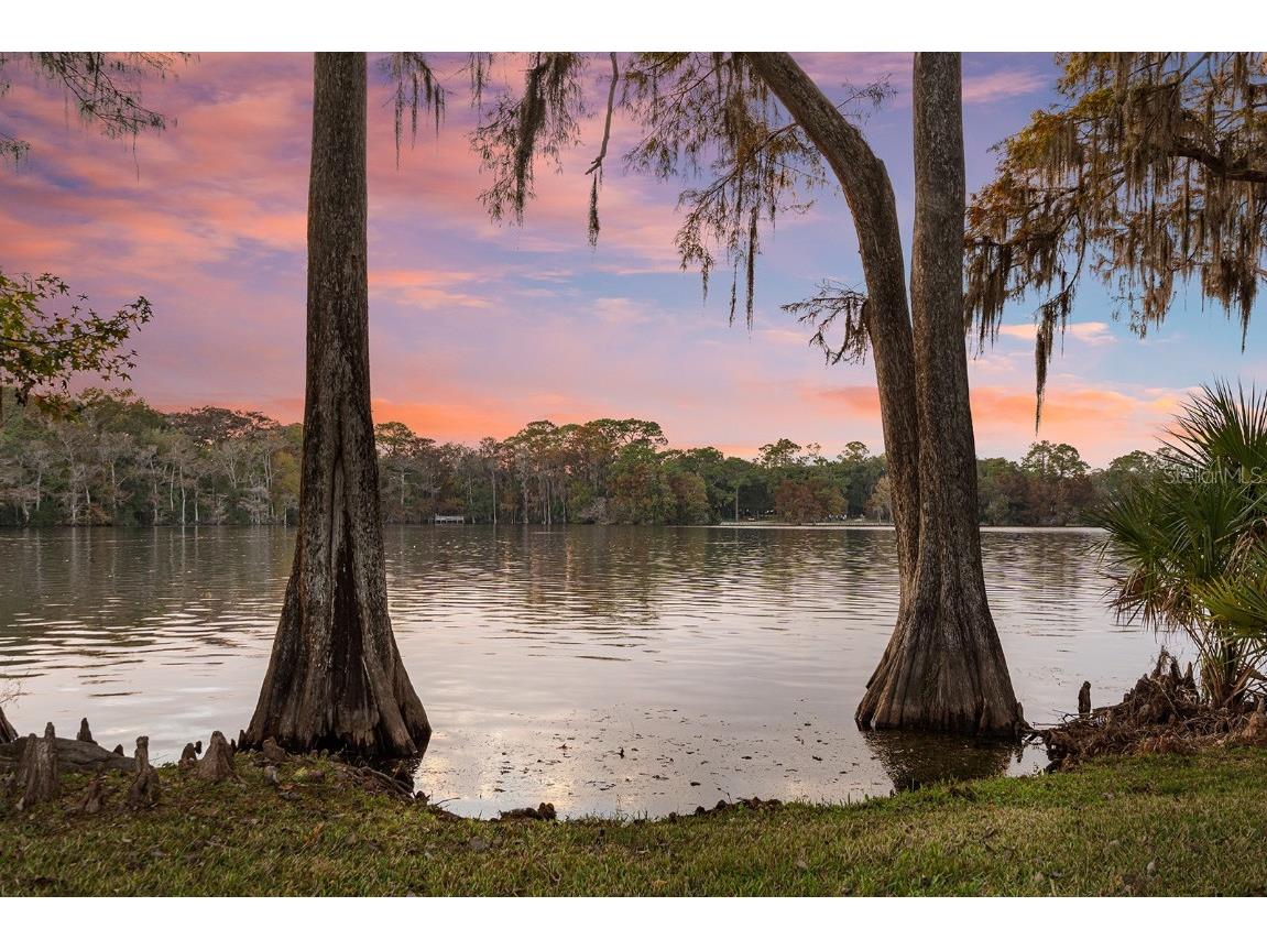 520 Lake Mills Road Chuluota FL 32766 O6363535 image63