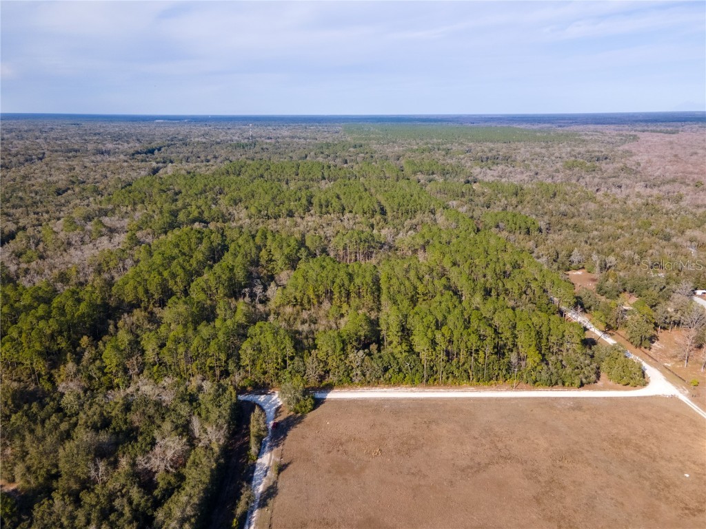 520 NE 791st Street Cross City FL 32628 U8189719 image1