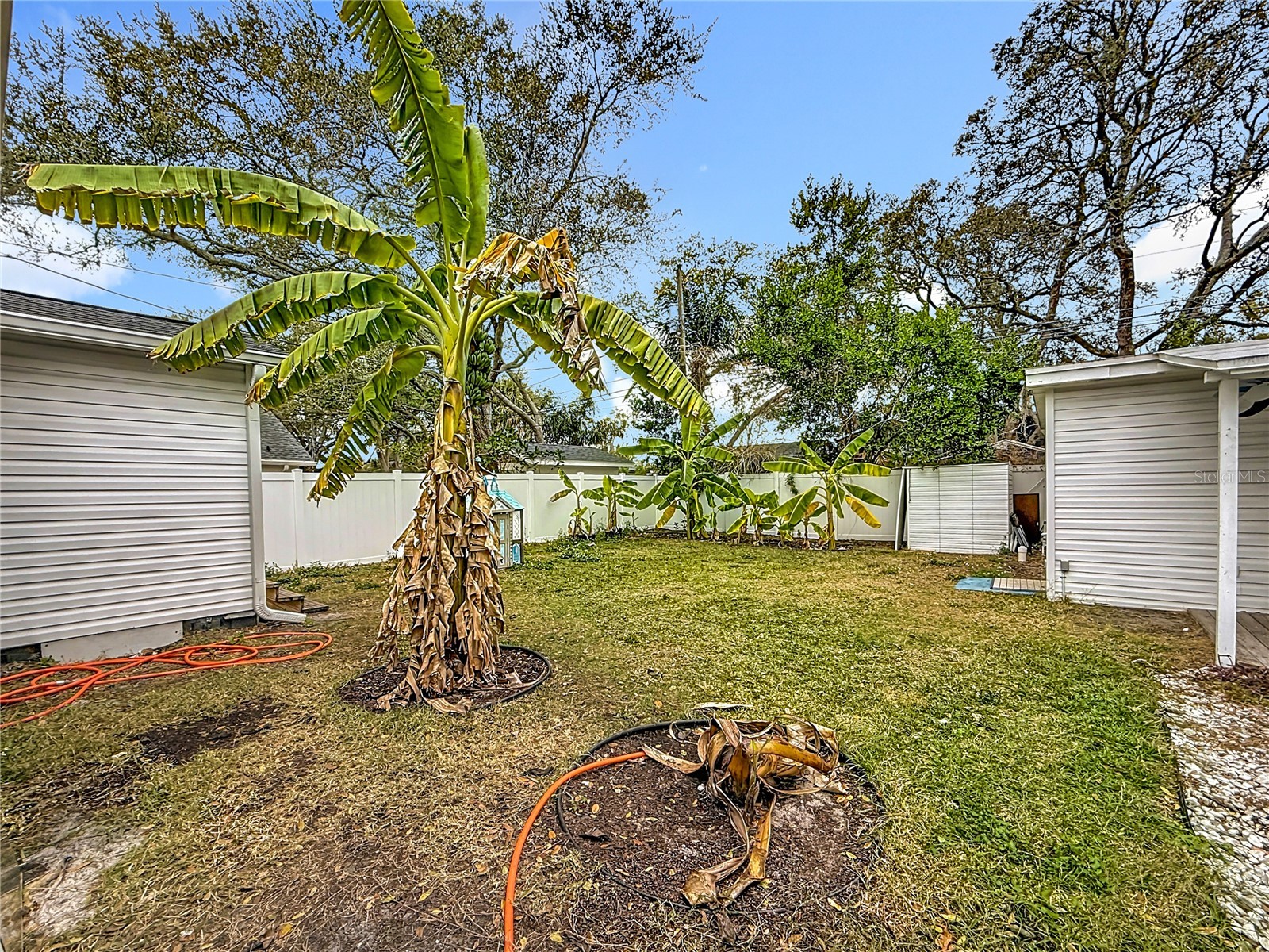 520 Roanoke Street Dunedin FL 34698 TB8464687 image30