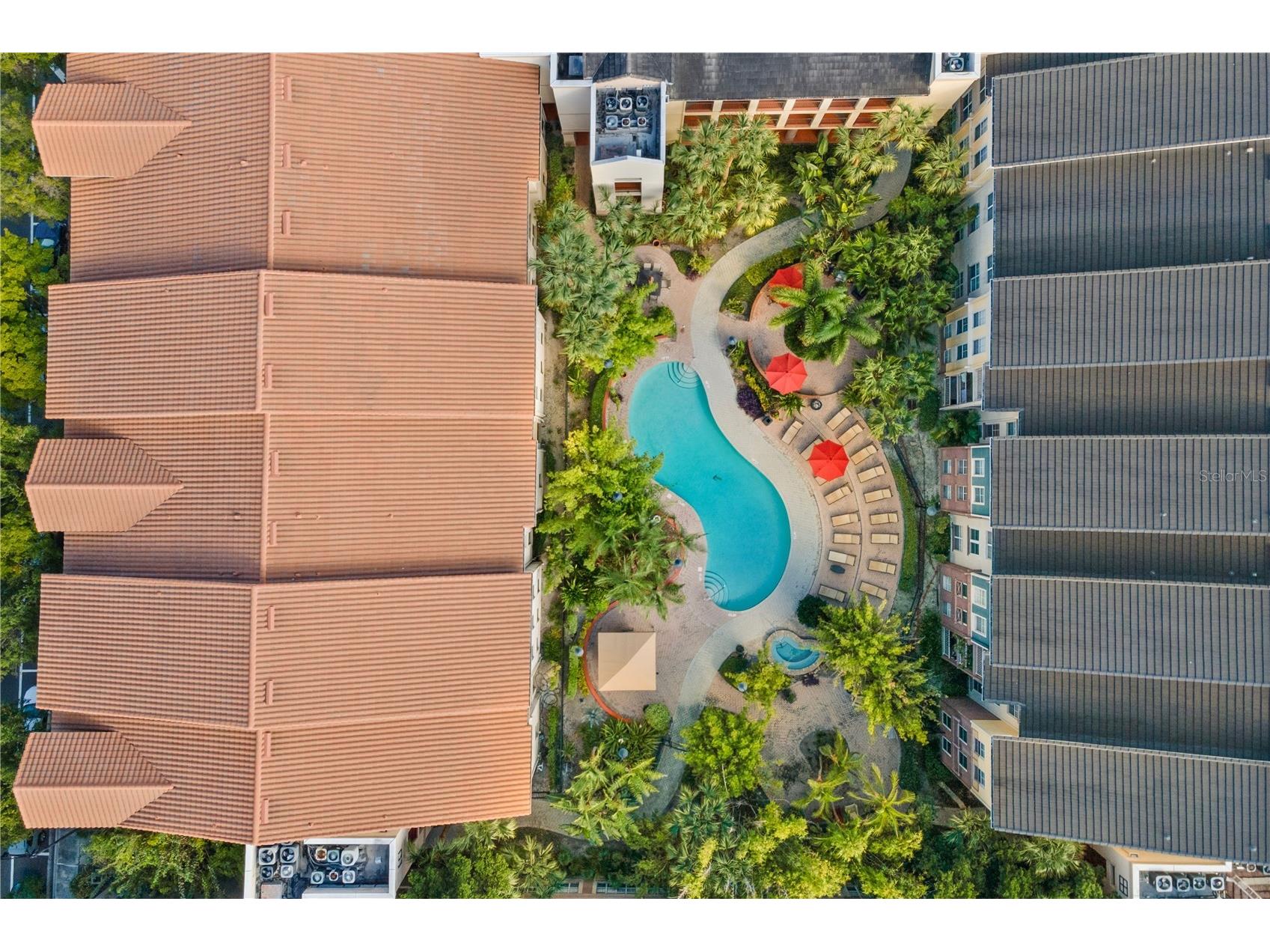 520 S Armenia Avenue #1229C Tampa FL 33609 TB8441224 image3