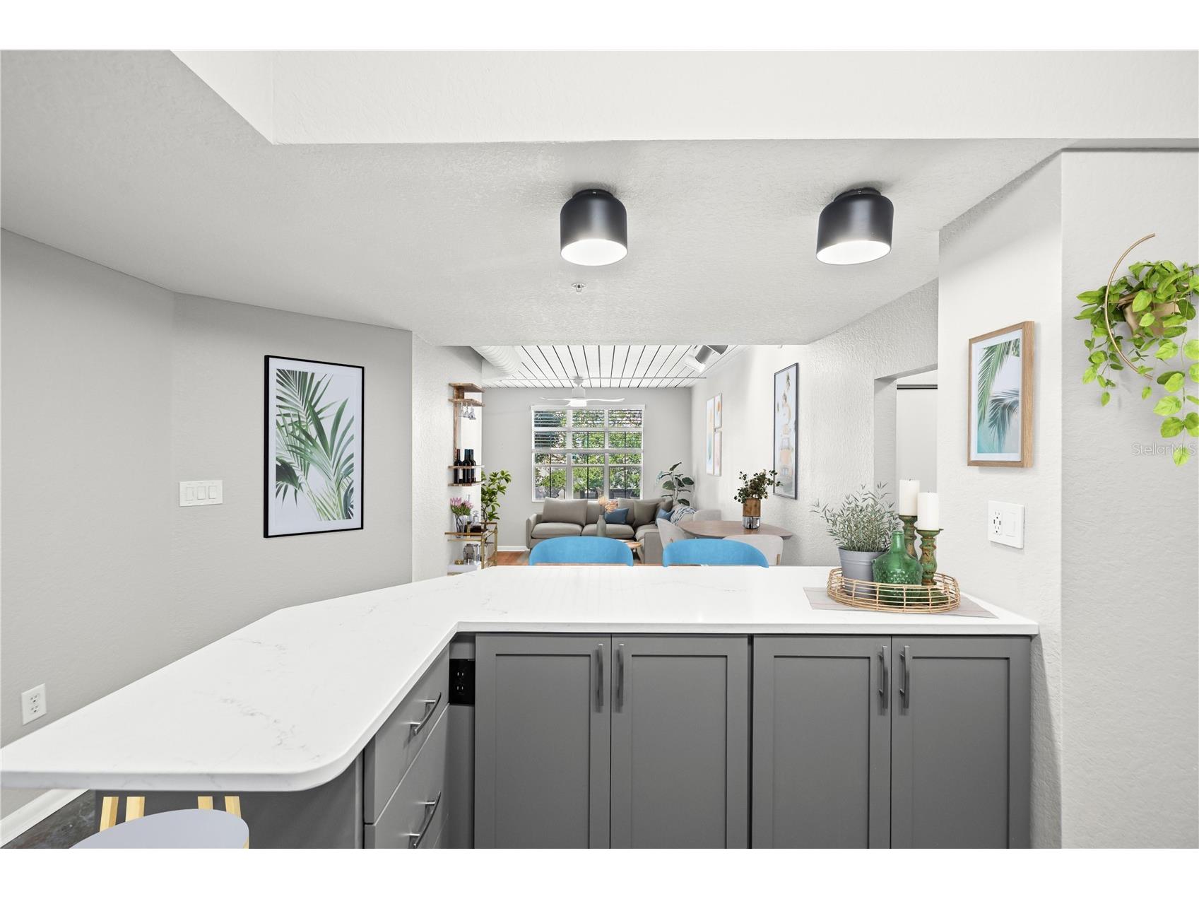 520 S Armenia Avenue #1229C Tampa FL 33609 TB8441224 image6