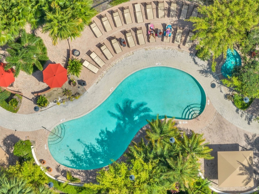 520 S Armenia Avenue #1233 Tampa FL 33609 TB8453618 image26