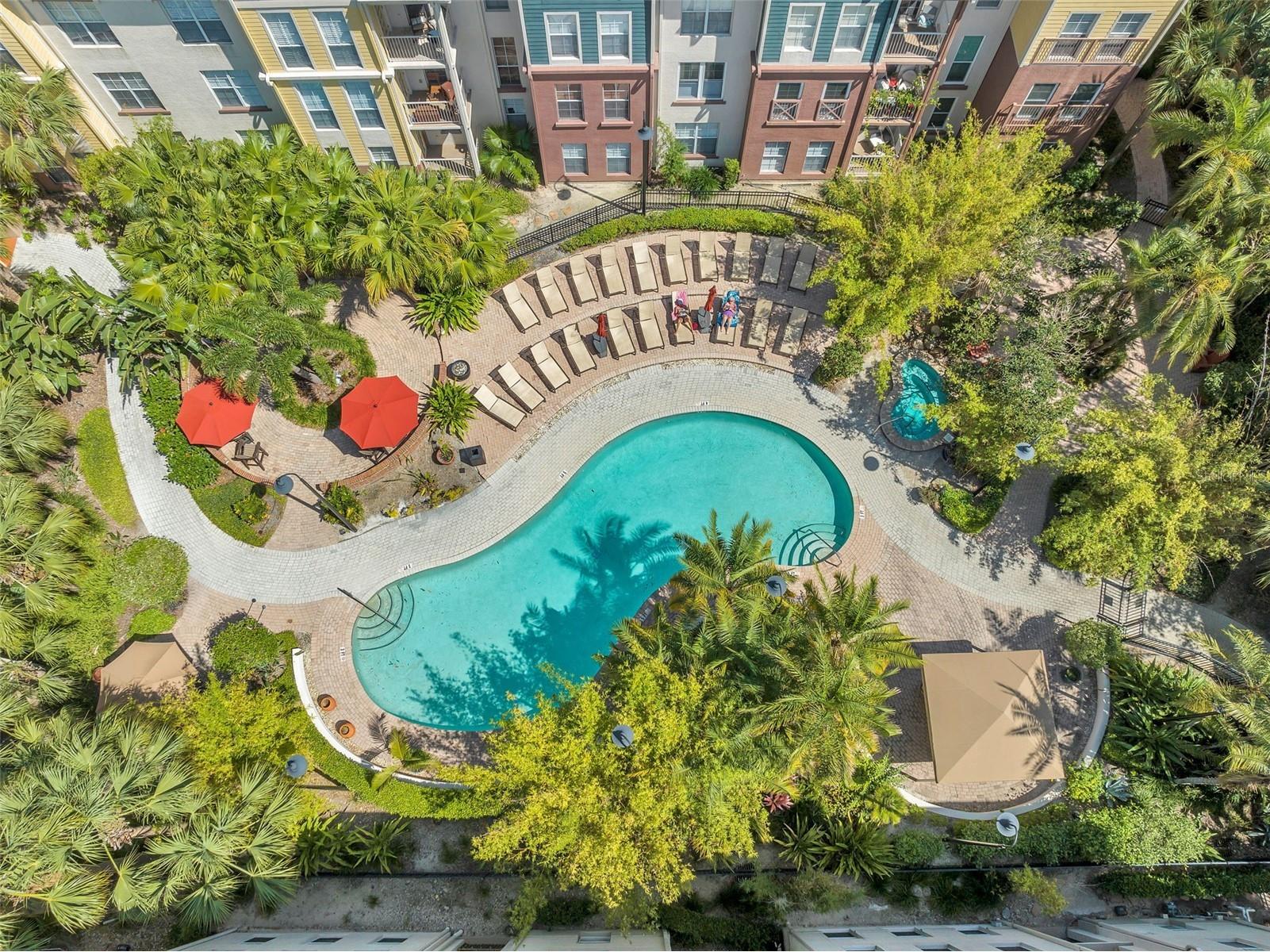 520 S Armenia Avenue #1233 Tampa FL 33609 TB8494645 image26