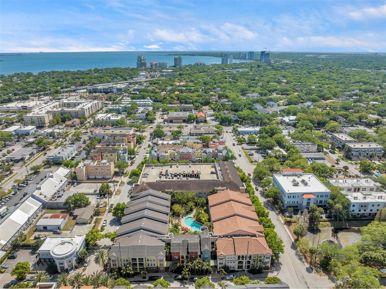 520 S Armenia Avenue #1233 Tampa FL 33609 TB8494645 image34