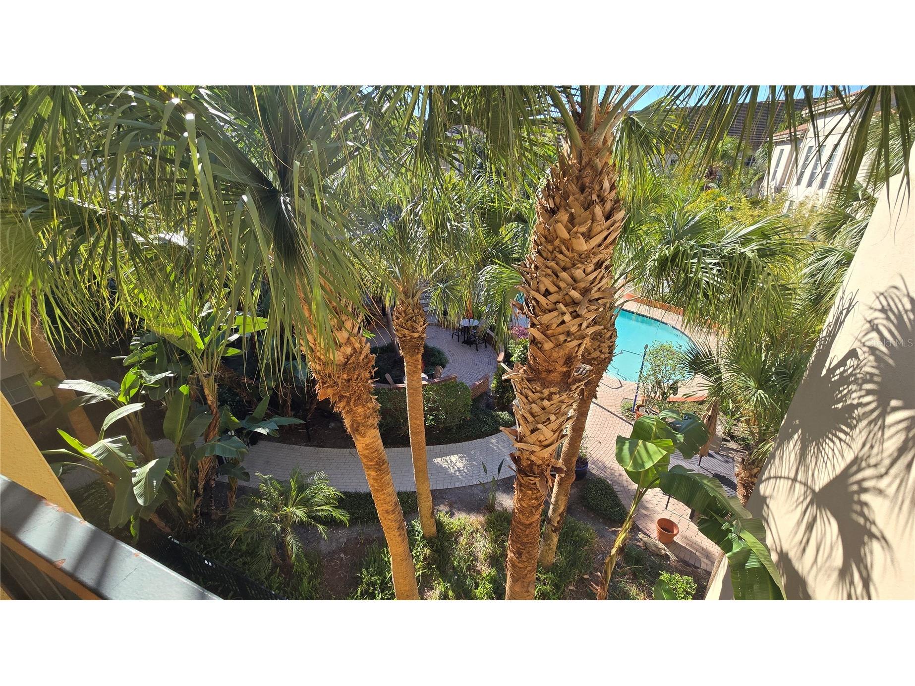 520 S Armenia Avenue #1238 Tampa FL 33609 TB8480438 image37