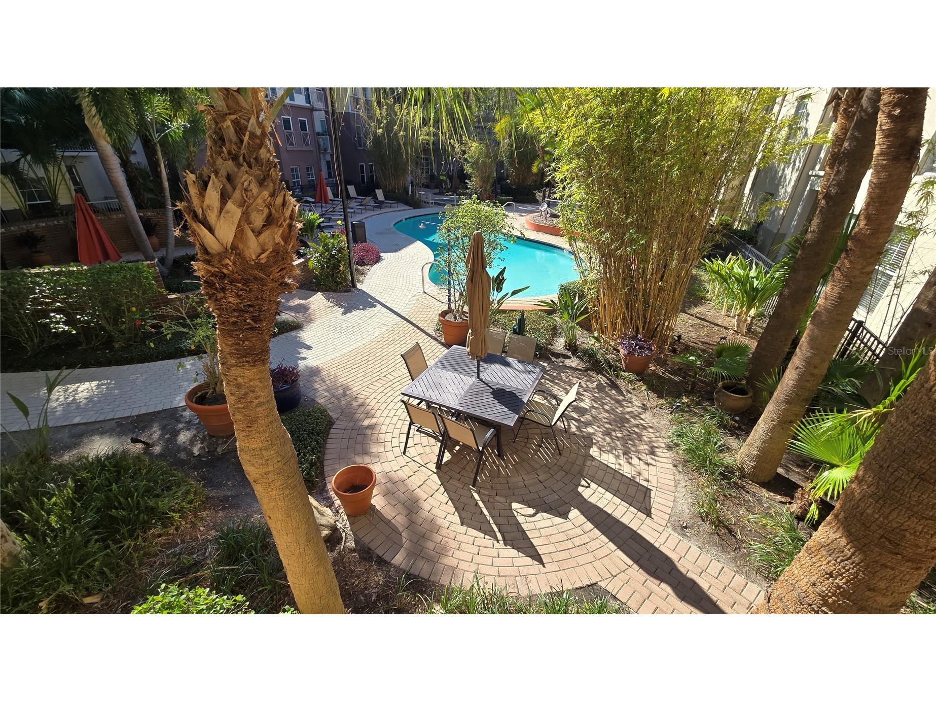 520 S Armenia Avenue #1238 Tampa FL 33609 TB8480438 image38