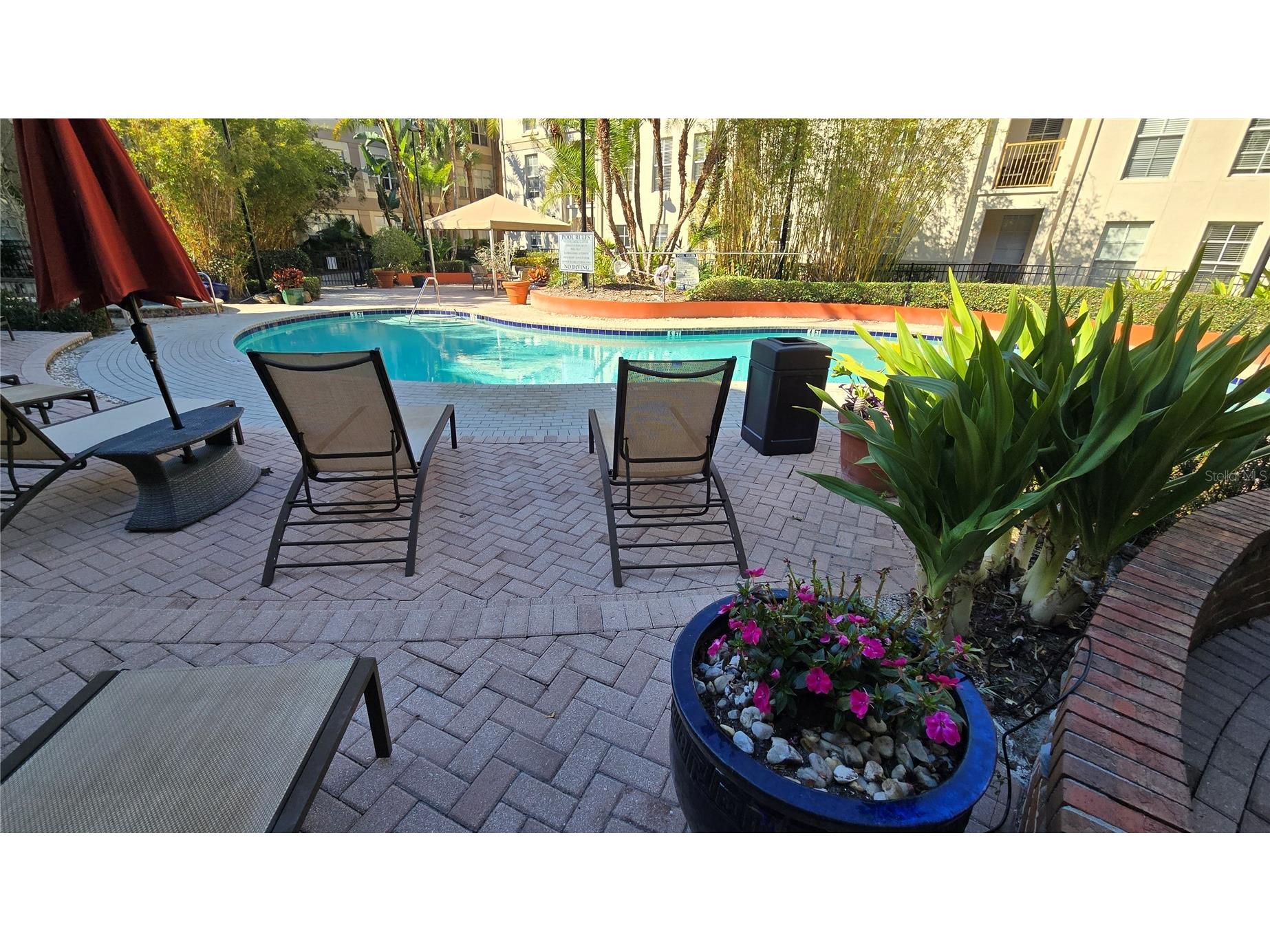 520 S Armenia Avenue #1238 Tampa FL 33609 TB8480438 image44
