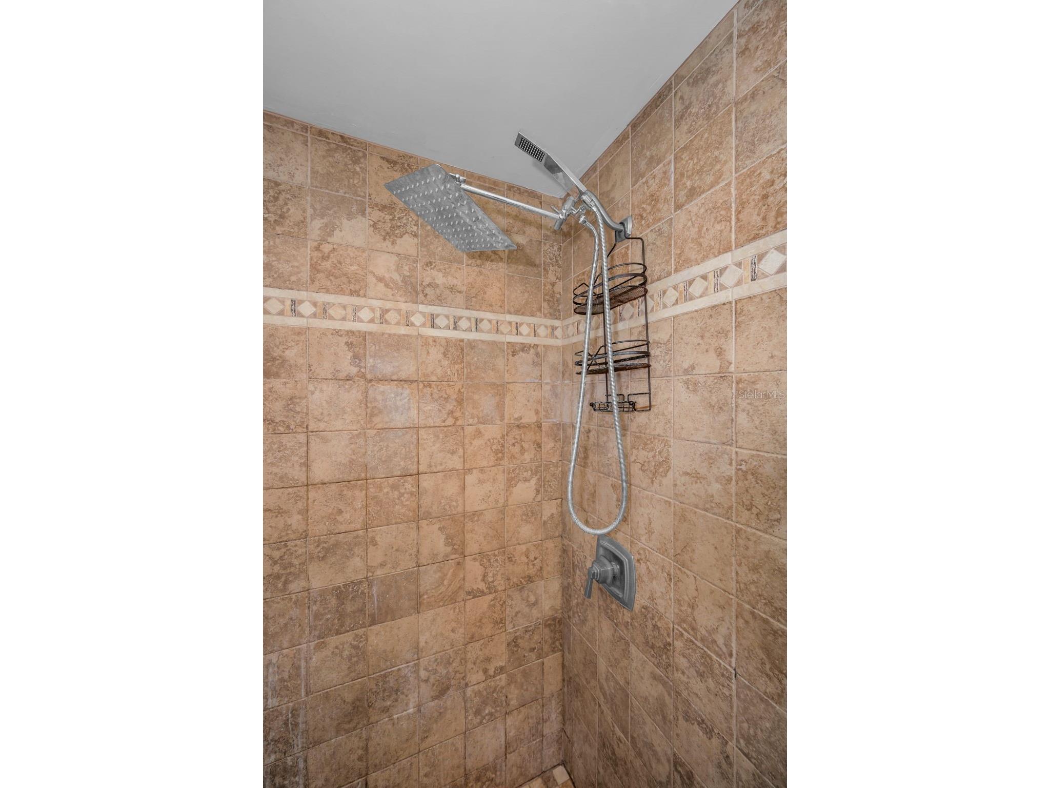 520 Sandy Hook Road Palm Harbor FL 34683 TB8506782 image25