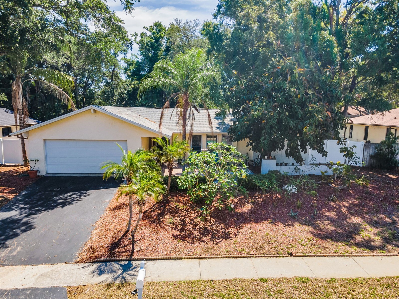 520 Sandy Hook Road Palm Harbor FL 34683 TB8506782 image41
