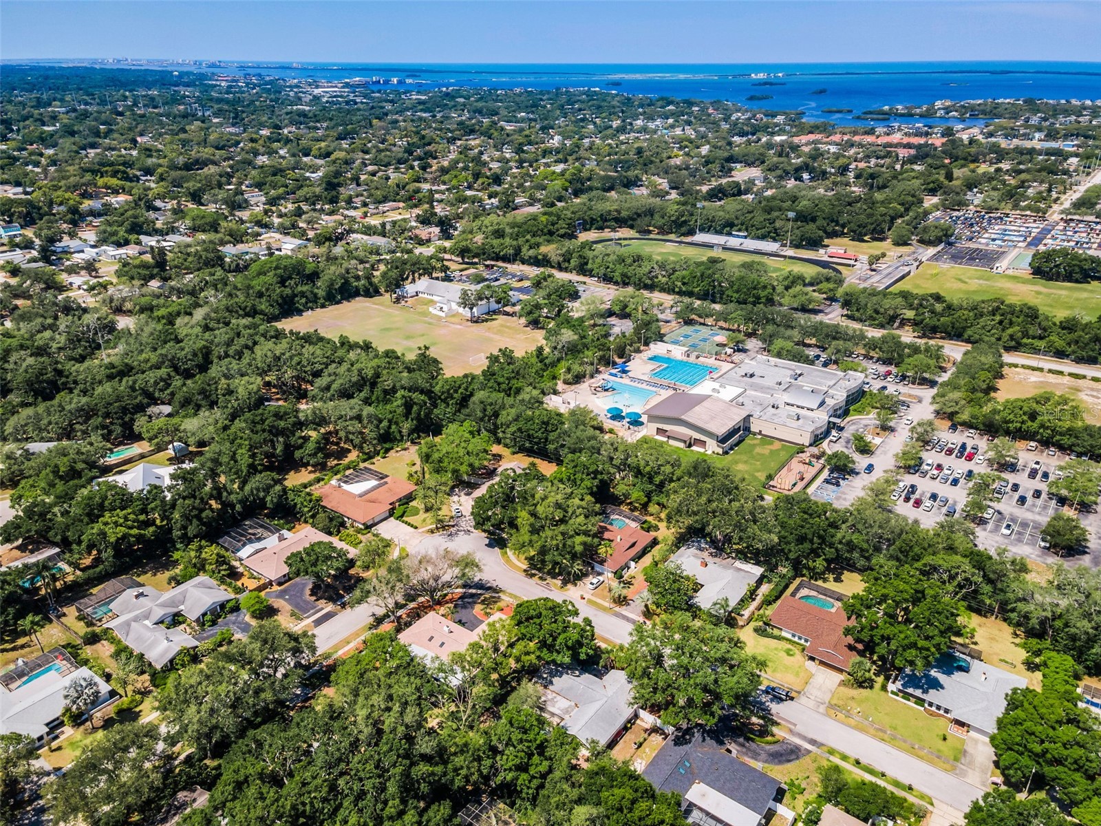 520 Sandy Hook Road Palm Harbor FL 34683 TB8506782 image50