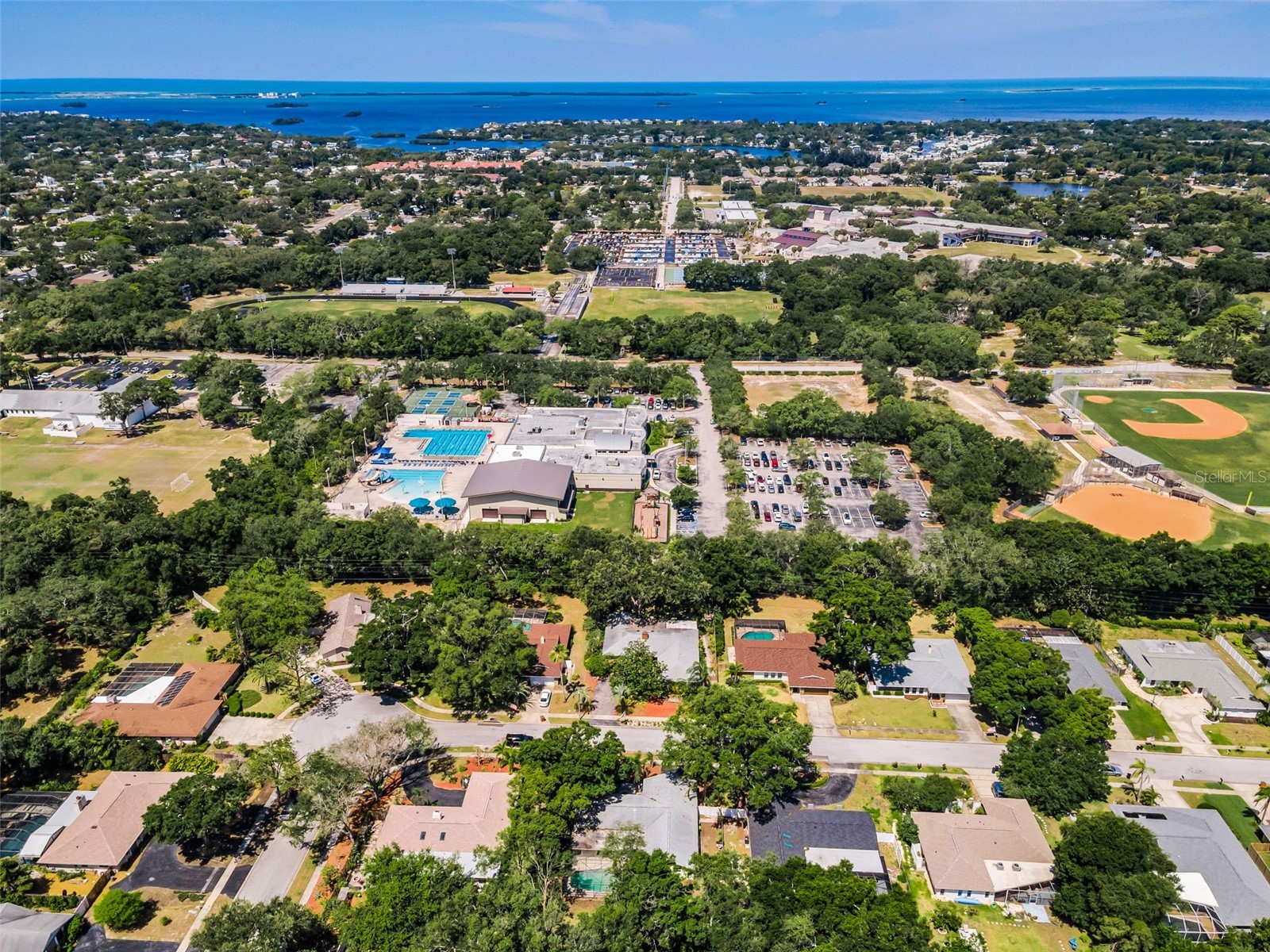 520 Sandy Hook Road Palm Harbor FL 34683 TB8506782 image51
