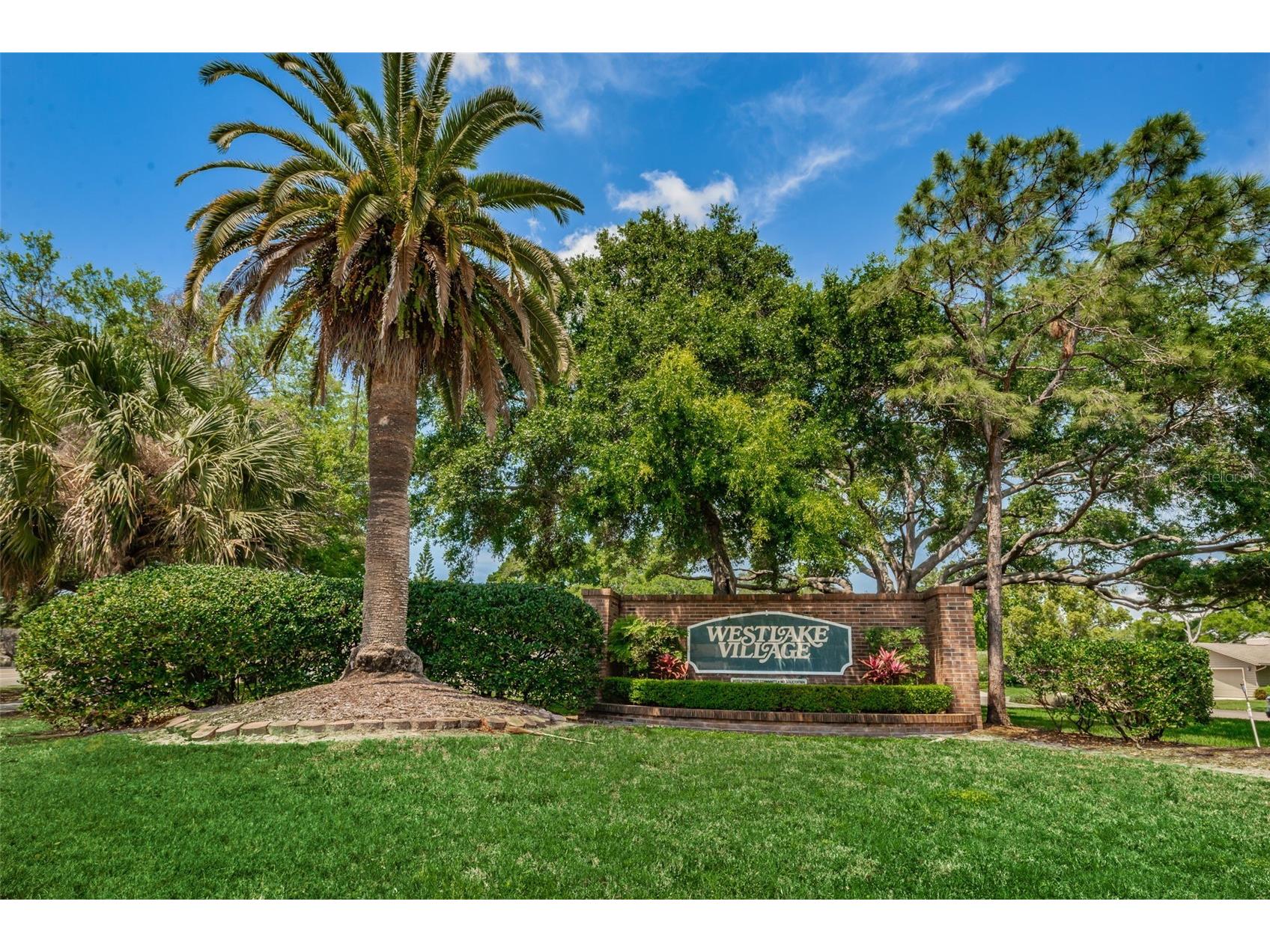 520 Sandy Hook Road Palm Harbor FL 34683 TB8506782 image53
