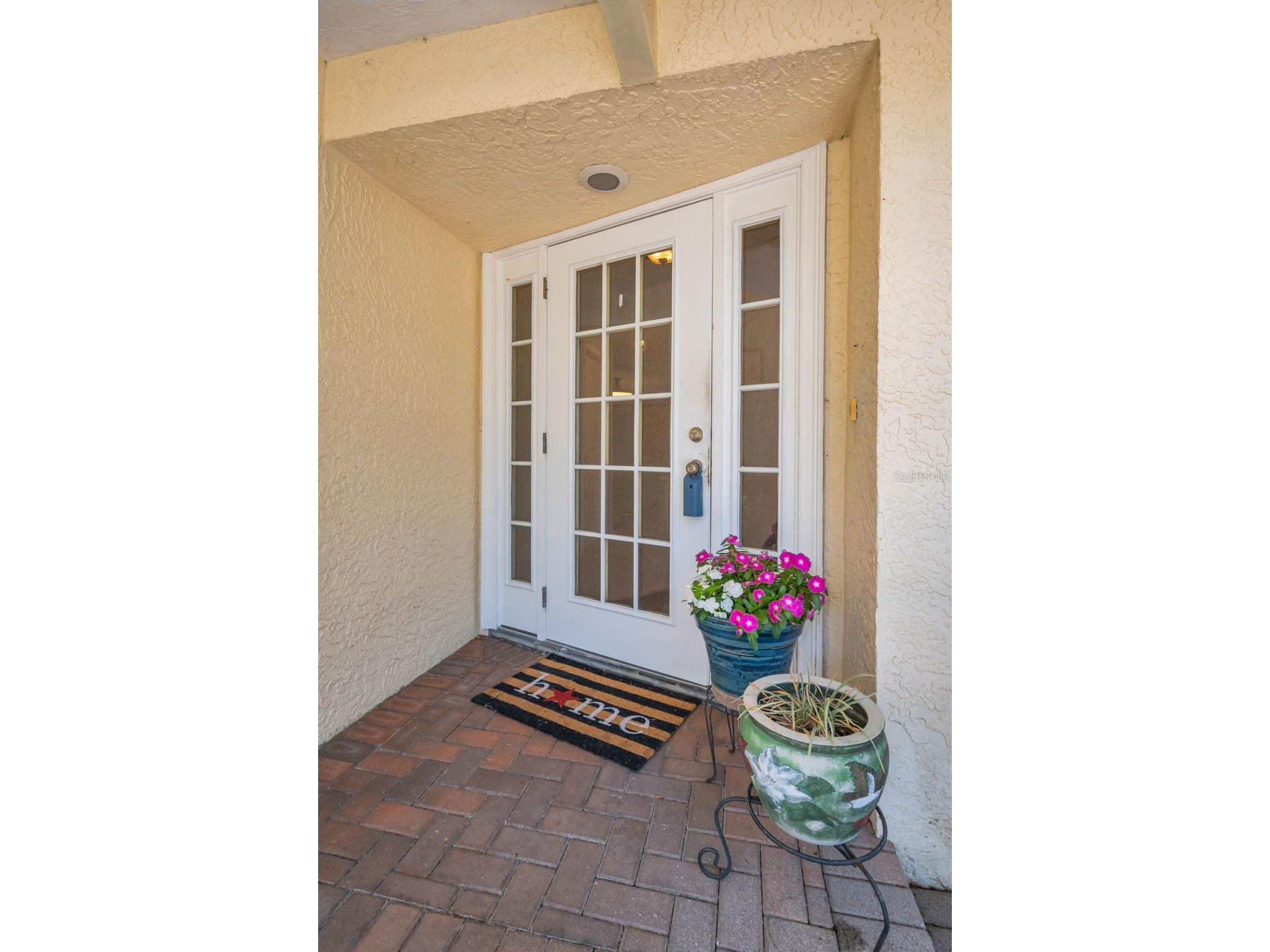 520 Sandy Hook Road Palm Harbor FL 34683 TB8506782 image6