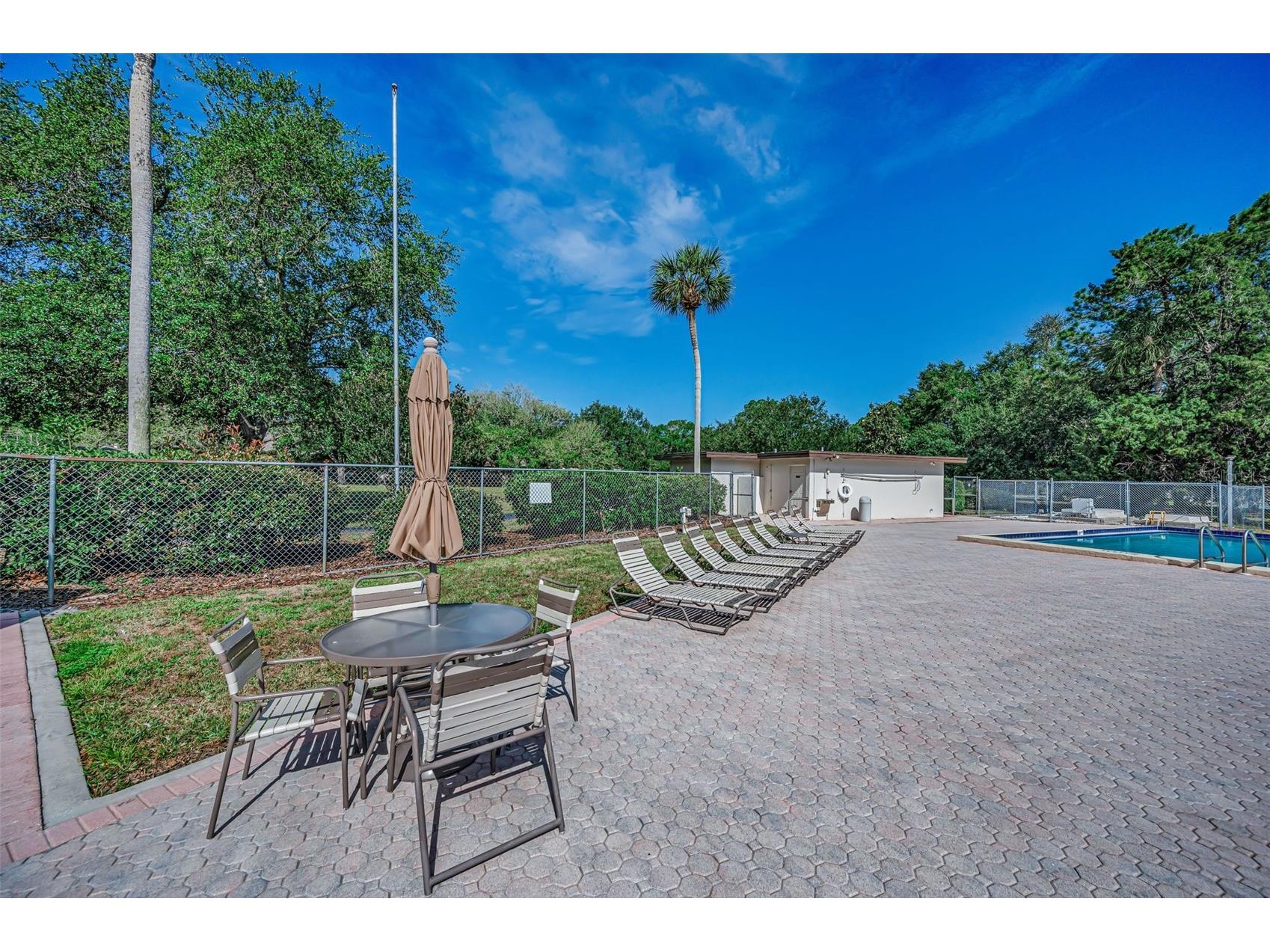 520 Sandy Hook Road Palm Harbor FL 34683 TB8506782 image62